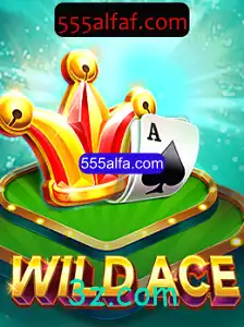 Descubra o Mundo Empolgante de WildAce